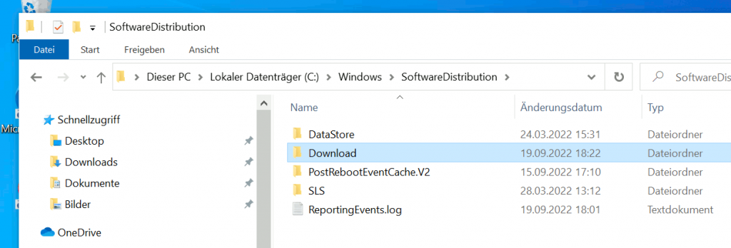 Windows 10 optimieren - Software Distribution Download