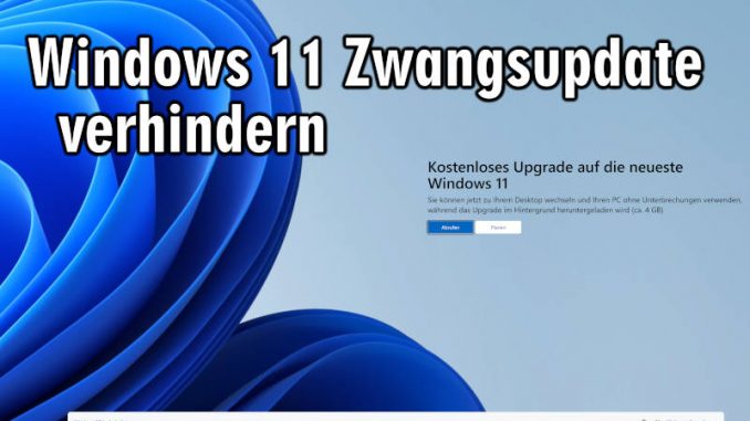 Windows 11 Zwangsupdate verhindern